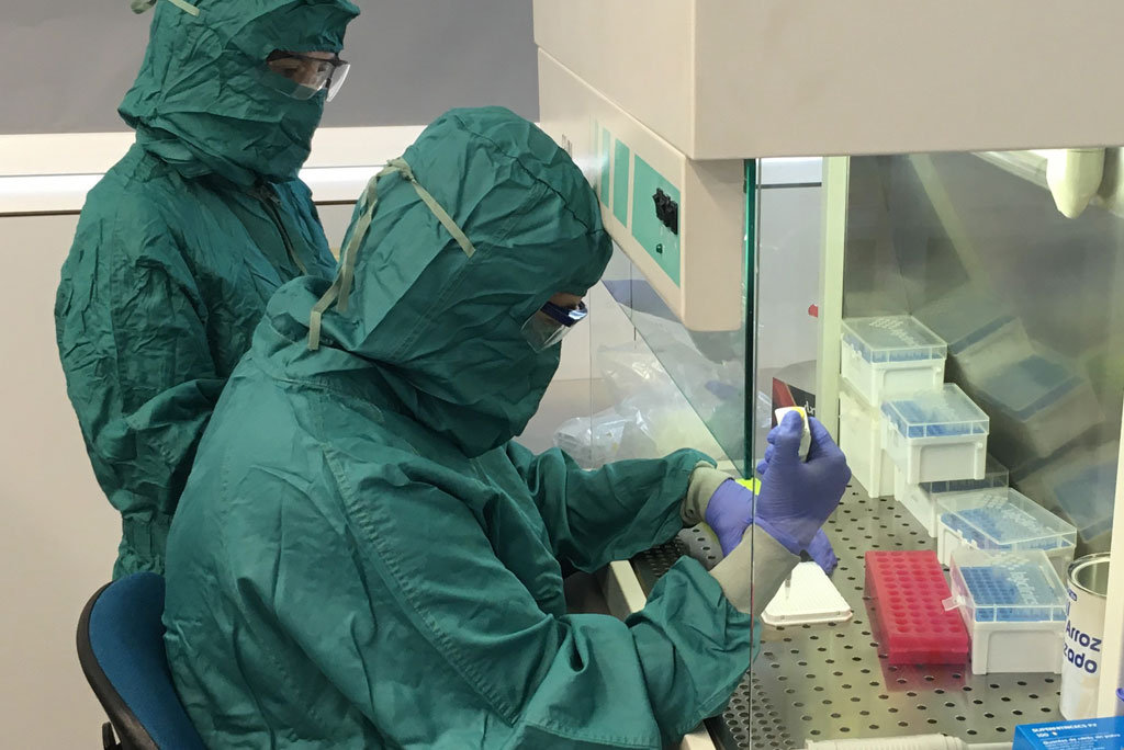 En este momento estás viendo El CIPF desarrolla un método de detección de SARS-CoV-2 en muestras de saliva