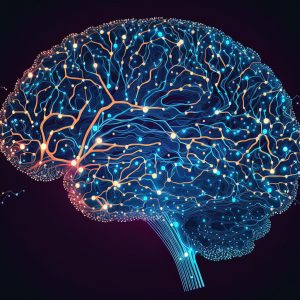 Read more about the article El CIPF acoge EBRAINS para impulsar la inteligencia artificial en enfermedades neurológicas